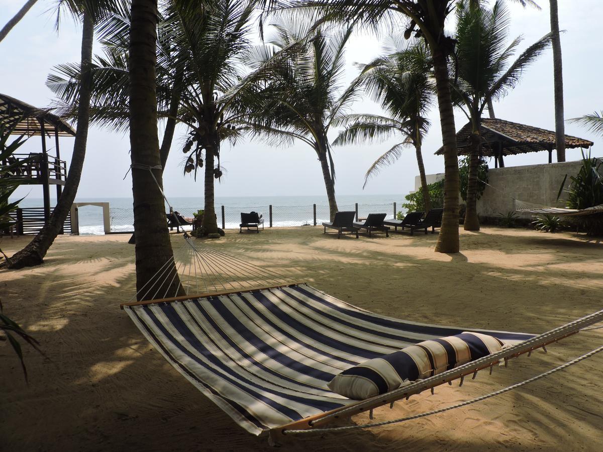 Seachange ตัลป์ ภายนอก รูปภาพ